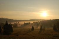 sumava